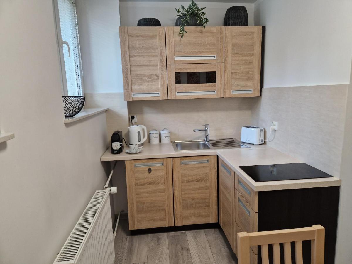 Apartament W Srodmiesciu サノク エクステリア 写真